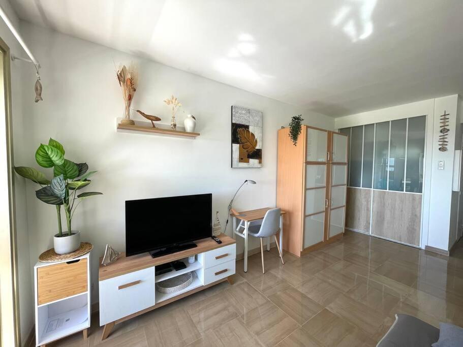 Studio Port Marina - Parking Prive, Climatise Au Ducal Villeneuve-Loubet Eksteriør billede
